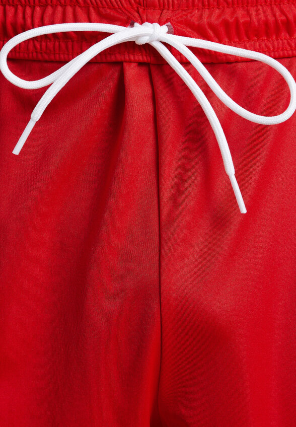 Шорты мужские PUMA teamLIGA, Красный