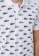 Поло Lacoste3  - превью
