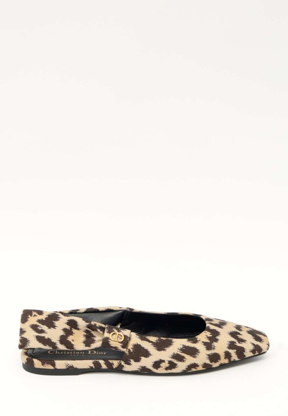Dior Shoes