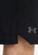 Шорты мужские Under Armour Woven, Черный4  - превью