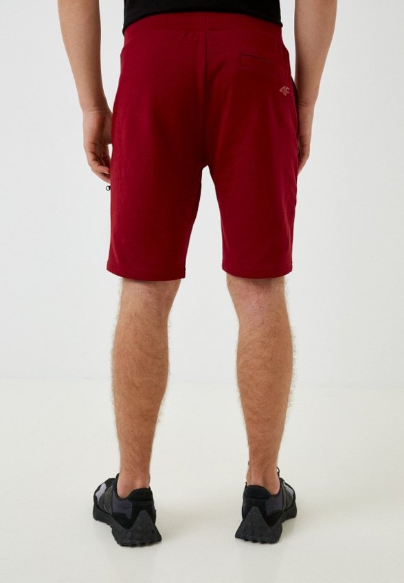 Шорты спортивные 4F