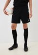 Шорты спортивные Demix1  - превью