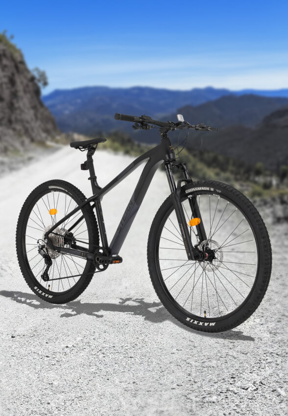 Велосипед горный Stern Motion X 29