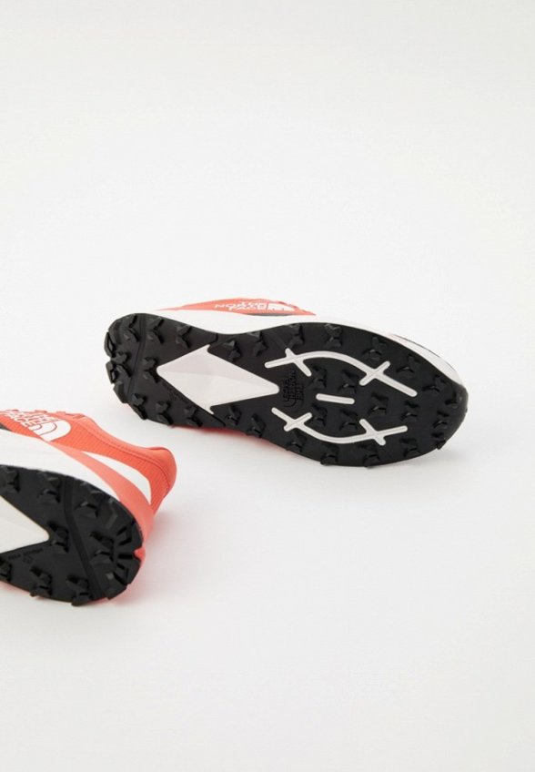 Кроссовки The North Face