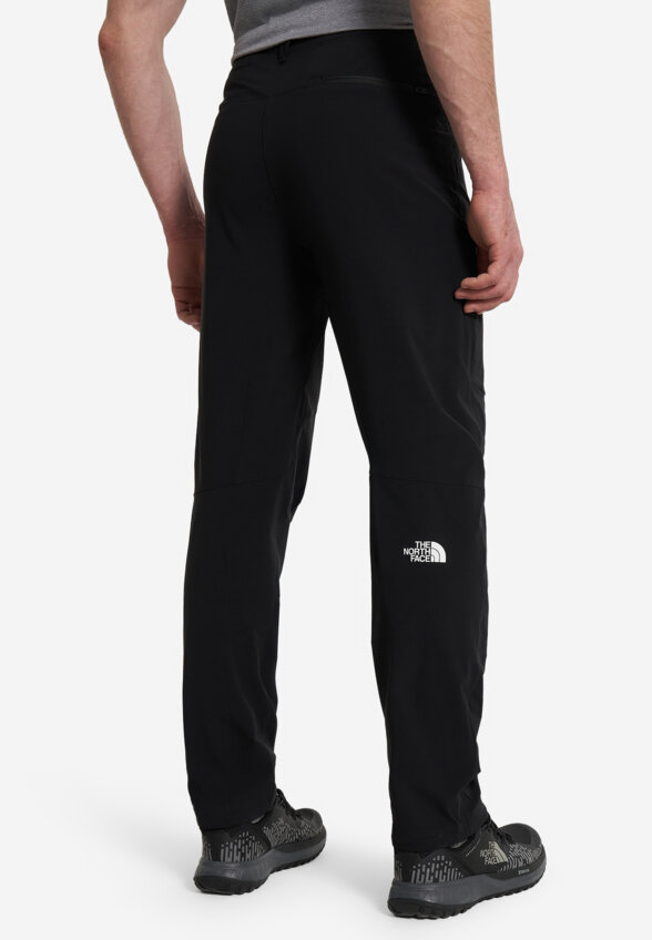 Брюки мужские The North Face Speedlight, Черный