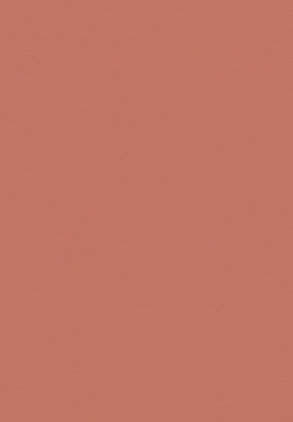 Помада Focallure