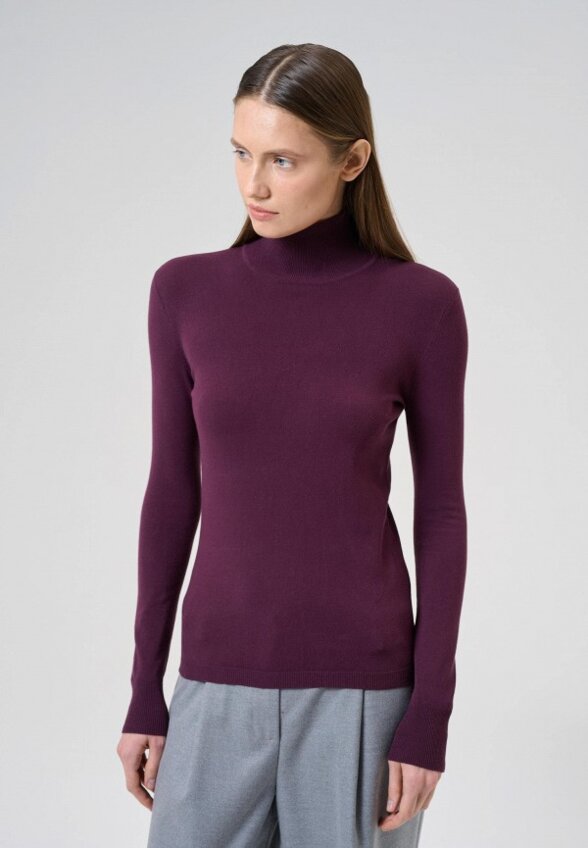 Водолазка Cepheya