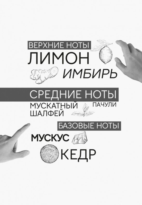 Парфюмерная вода Art&Nose