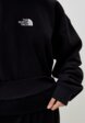 Свитшот The North Face4  - превью