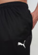 Брюки мужские PUMA Teamrise Poly Training, Черный10  - превью