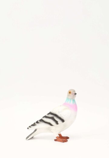 JW Anderson Pigeon