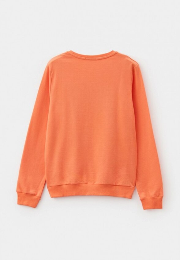 Свитшот Elementarno