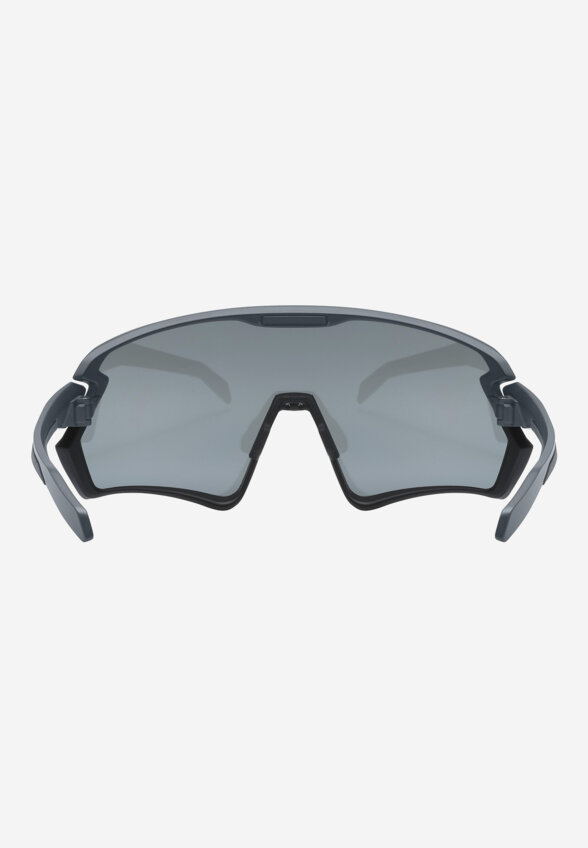 Солнцезащитные очки Uvex Sportstyle 231 2.0, Черный