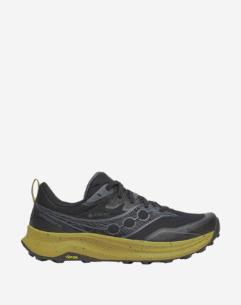 Кроссовки мужские Saucony Peregrine 16 Gtx, Черный женщинам