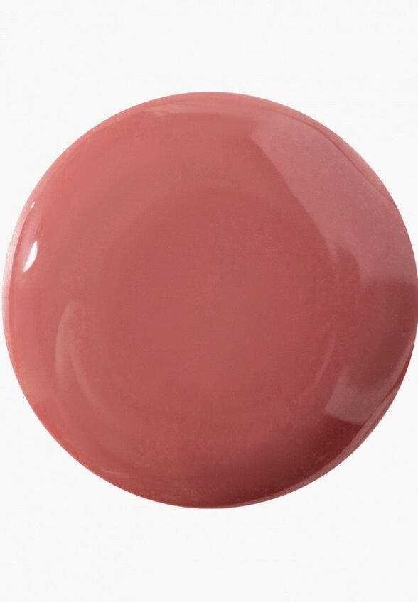 Блеск для губ Influence Beauty