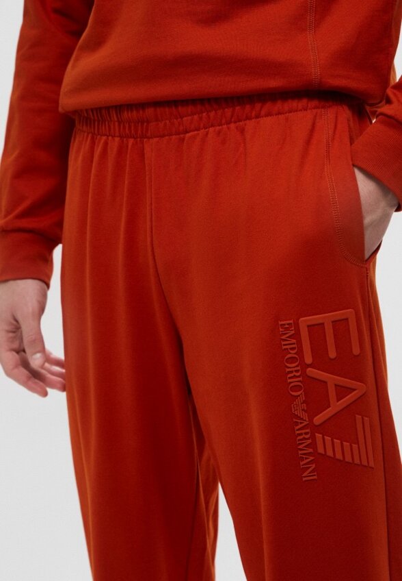 Брюки спортивные EA7