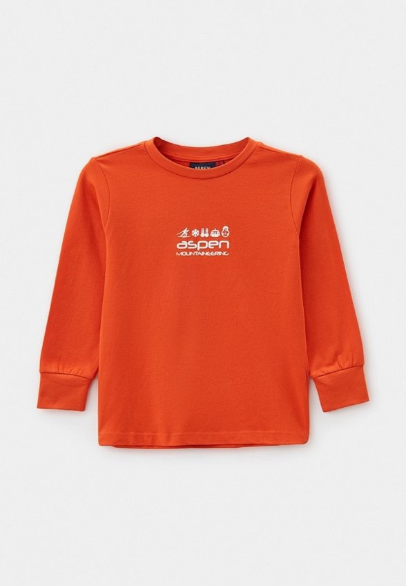 Лонгслив Aspen Polo Club