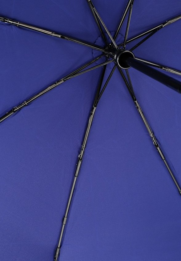 Зонт складной и брелок Flioraj