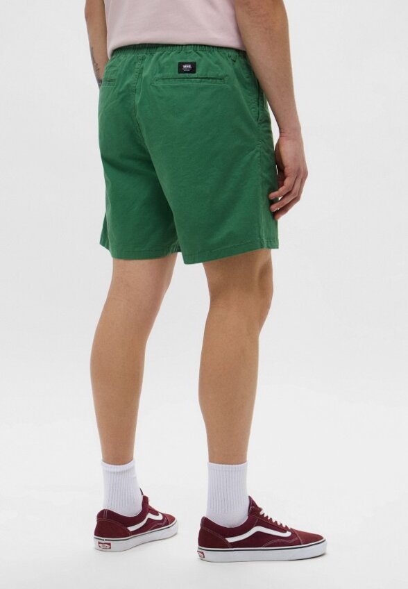Шорты Vans