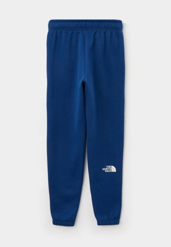 Брюки спортивные The North Face