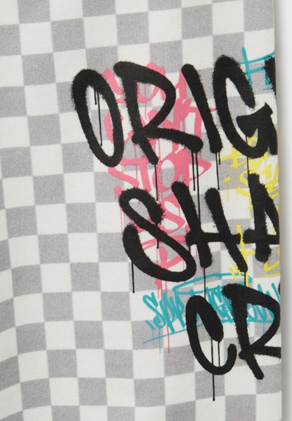 Брюки спортивные Sprayground