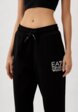 Брюки спортивные EA74  - превью