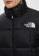 Куртка утепленная The North Face5  - превью