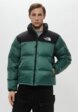 Пуховик The North Face1  - превью