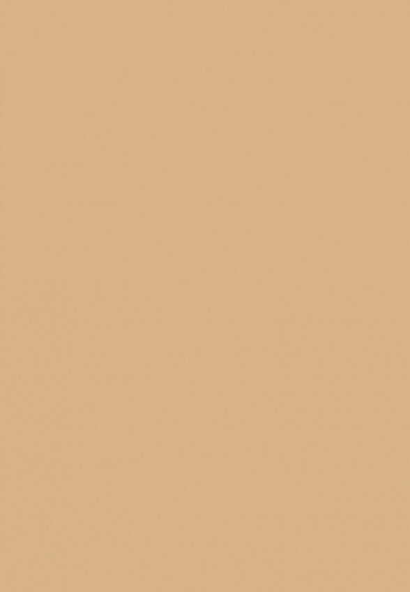 Консилер Pastel
