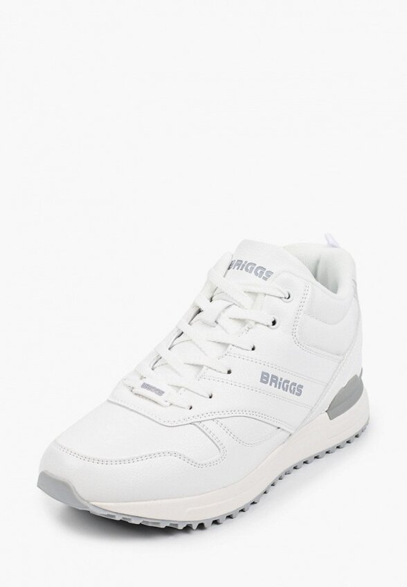 Кроссовки Briggs