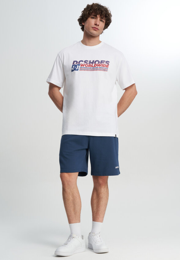 Футболка мужская DC Shoes Queltra, Белый