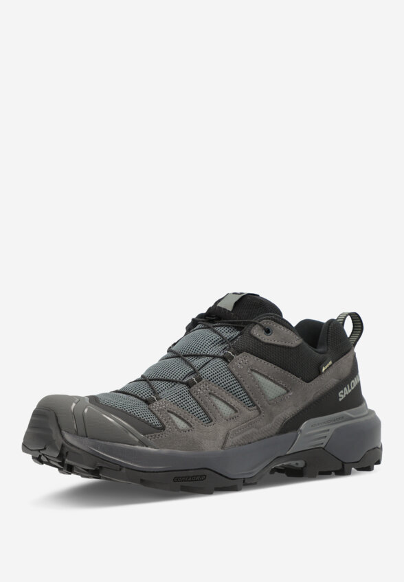Кроссовки женские Salomon X Ultra 360 Ltr GTX, Серый