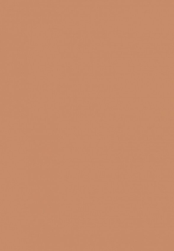 Пудра компактная Inglot