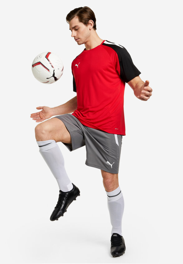 Шорты мужские PUMA teamLIGA, Серый