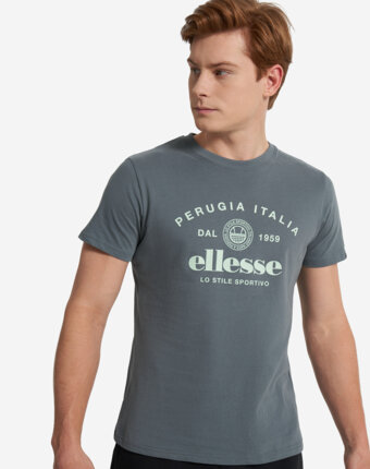 Футболка мужская Ellesse, Серый женщинам