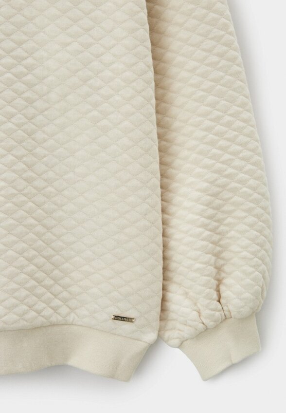 Свитшот Gulliver