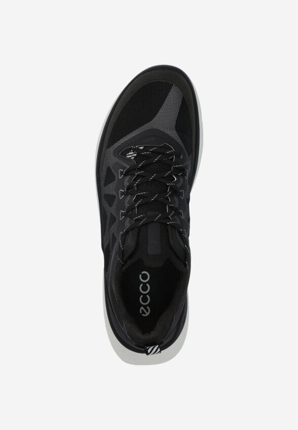 Кроссовки мужские Ecco Biom 720, Черный