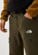 Брюки спортивные The North Face4  - превью