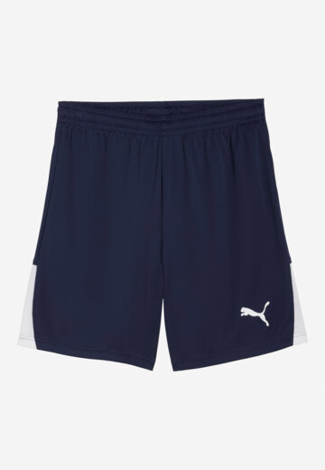 Шорты мужские PUMA Teamliga26, Синий