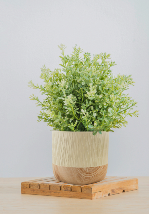 Кашпо Mandarin Decor