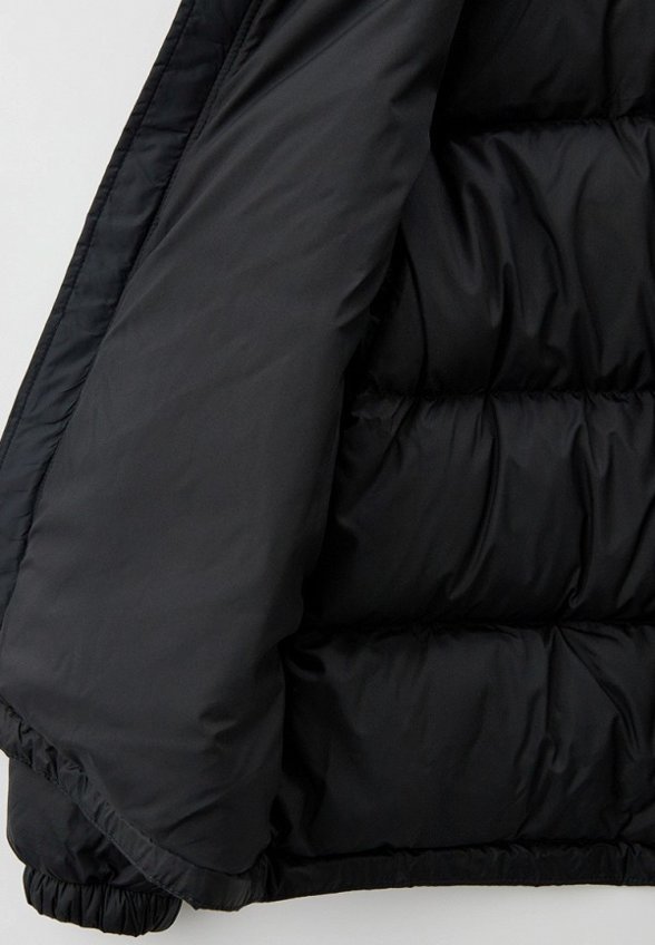Пуховик The North Face