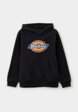 Худи Dickies1  - превью