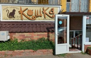 Кошка