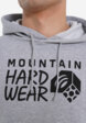 Худи мужское Mountain Hardwear Logo, Серый6  - превью