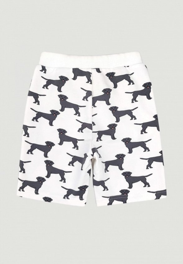 Шорты спортивные Mjolk