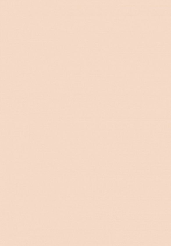 Пудра компактная Divage