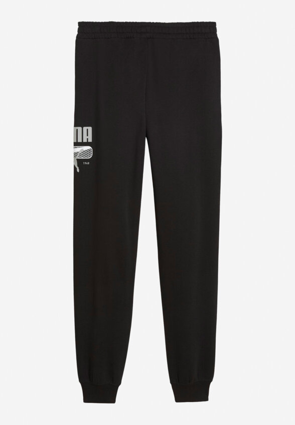 Брюки мужские PUMA Sport Logo Play, Черный