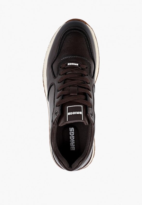 Кроссовки Briggs