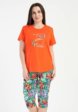 Пижама Vienetta1  - превью