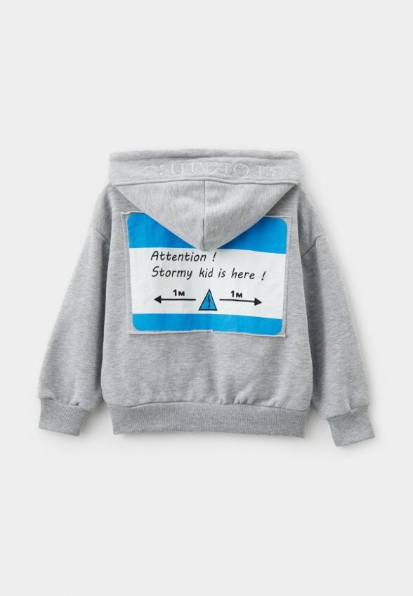 Толстовка Stormies